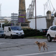 Un plan de movilidad sin consenso