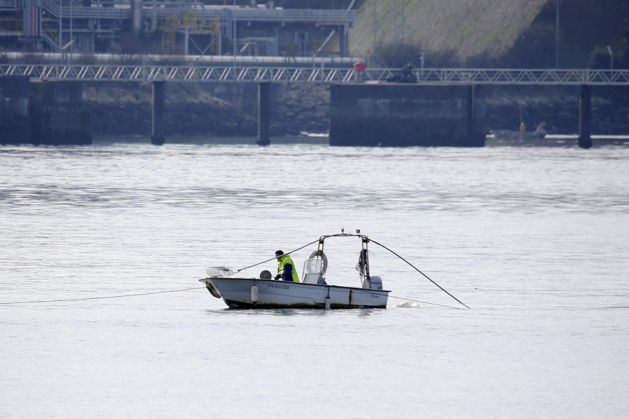 La debacle del marisqueo lleva a las cofradías de la ría de Ferrol a lanzar otro SOS