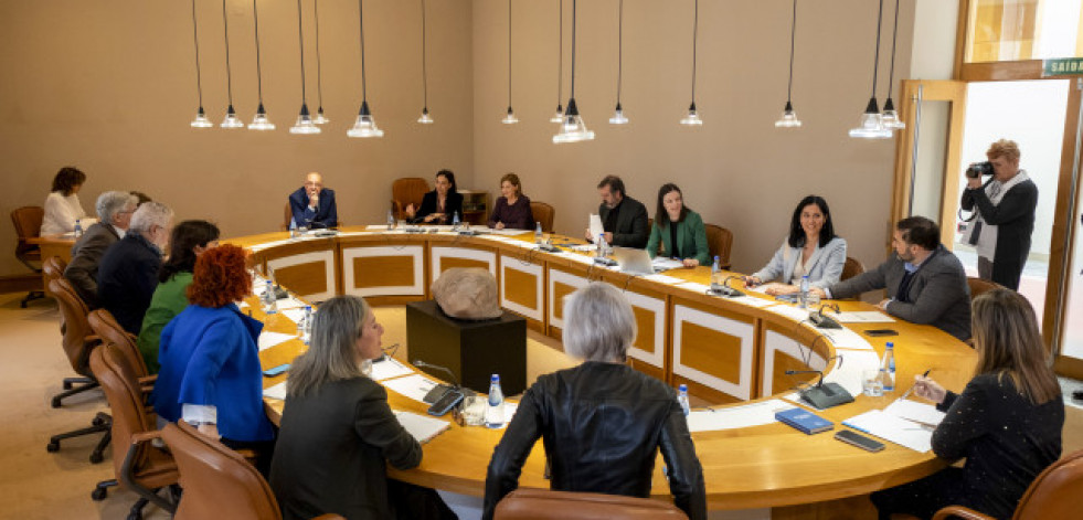 Afundación, Ramón Villares y la Academia de Belas Artes recibirán la Medalla del Parlamento de Galicia