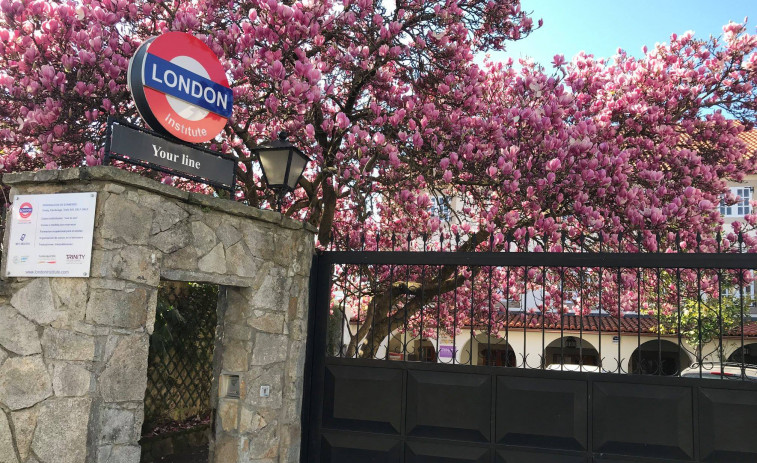 Tres cursos gratuitos para desempleados en áreas de gran demanda, en London Institute