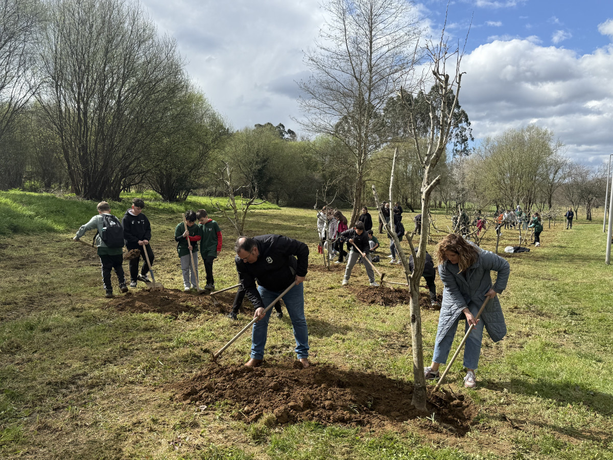 Plantacion arboles senda Xuvia Freixeiro CPR Santiago Apostol (2)