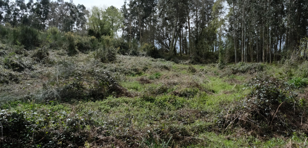 El plan de Pontedeume y Miño para recuperar su joya enterrada