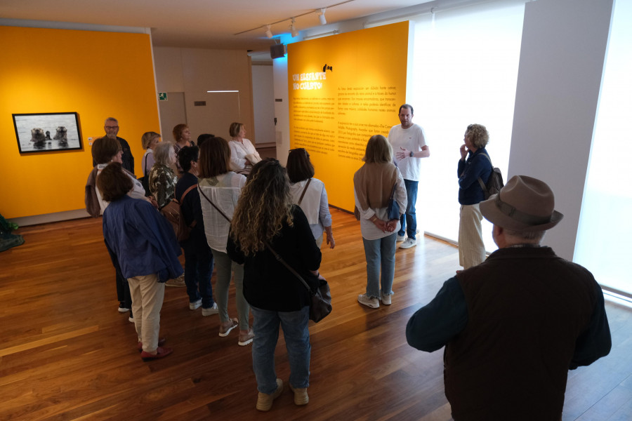 Una visita guiada muestra el mito de Picasso en el cómic español