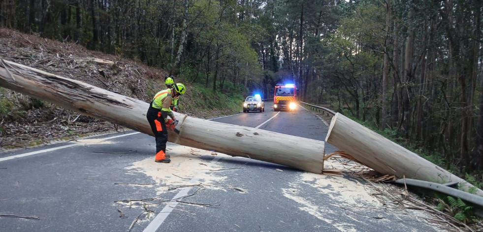 Llega Martinho: Árboles caídos, cortes de luz y carreteras cortadas en O Salnés