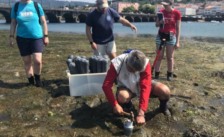 La elevada concentración de sulfuros, posible causa del descenso en la captura de moluscos en la ría de Pontedeume