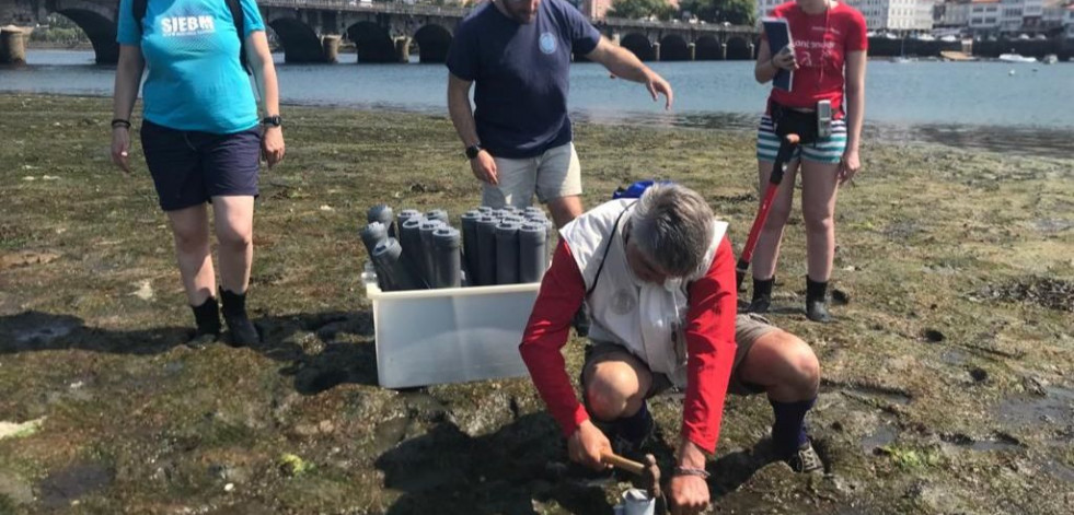 La elevada concentración de sulfuros, posible causa del descenso en la captura de moluscos en la ría de Pontedeume