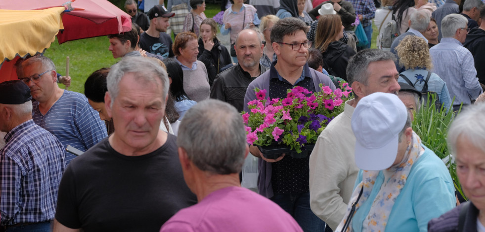 San Sadurniño abre o prazo de inscrición de postos para a XXVIII edición da Feira da Plantación