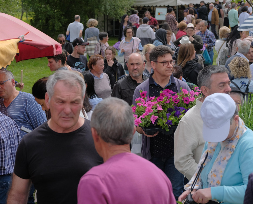 Feira da Plantacion Daniel Alexanre