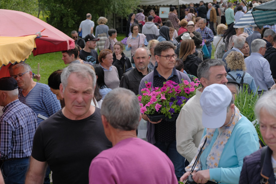 San Sadurniño abre o prazo de inscrición de postos para a XXVIII edición da Feira da Plantación