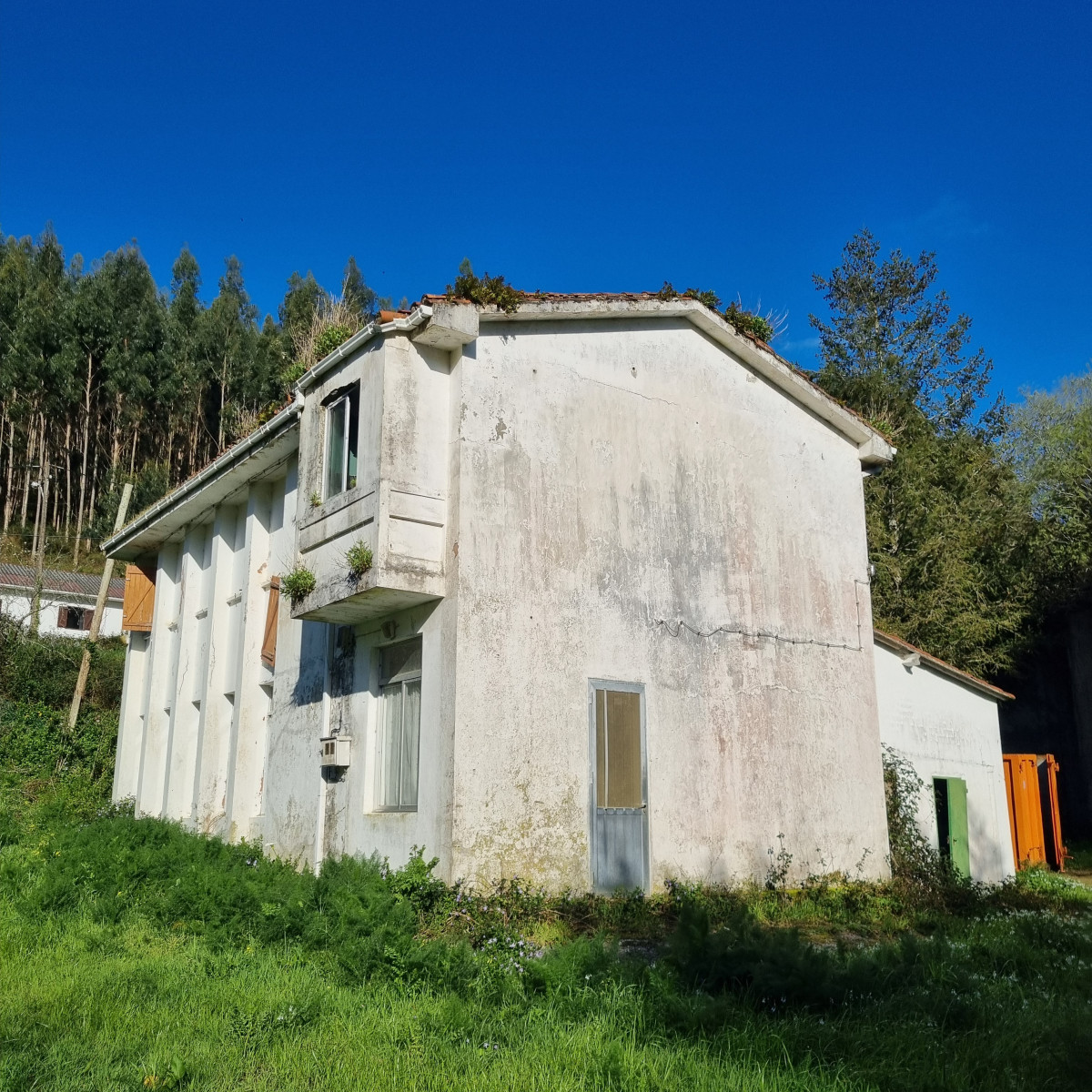 ESCOLA 24