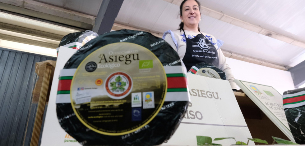 La historia de Asiegu, única ecológica de la DOP Cabrales, presente en la Feira do Queixo de Moeche