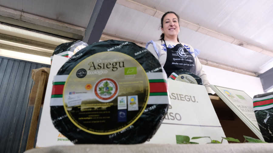 La historia de Asiegu, única ecológica de la DOP Cabrales, presente en la Feira do Queixo de Moeche