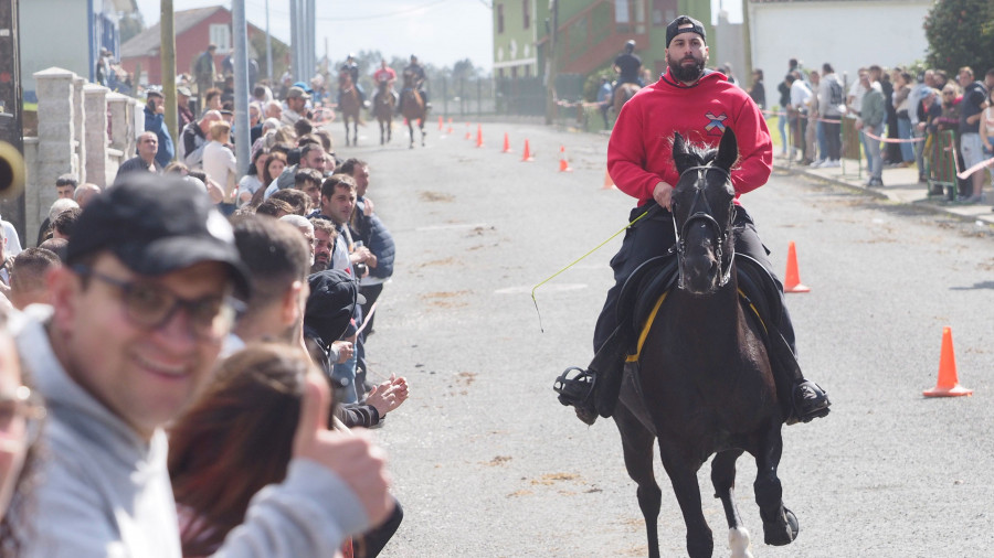 La Feira do Cabalo de Cerdido reunió a un millar de visitantes en una animada jornada