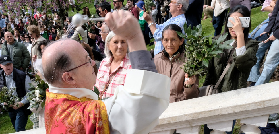 Domingo de Ramos 2025: bendición soleada y lleno en Amboage (Ferrol)