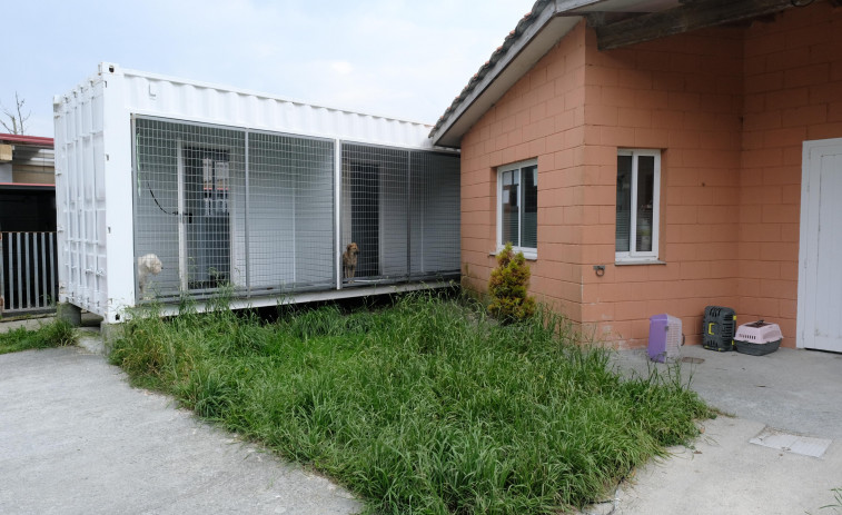 Aprobados los pliegos para la contratación de la gestión del refugio de animales de Mougá