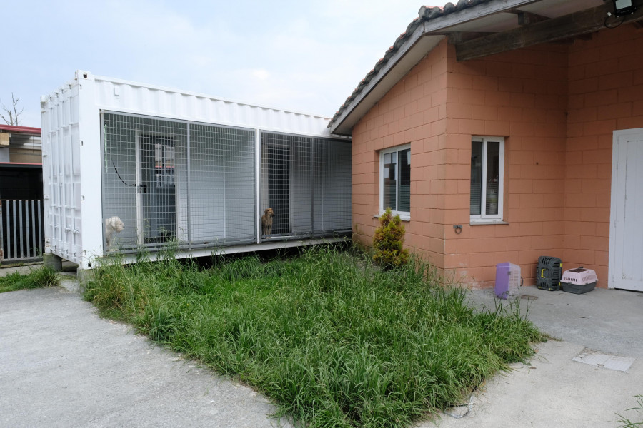 Aprobados los pliegos para la contratación de la gestión del refugio de animales de Mougá
