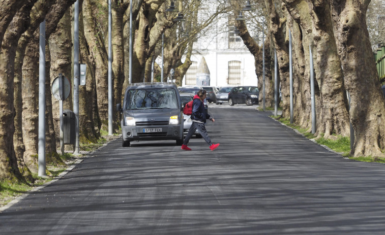 El BNG reclama que se conserven los árboles de  la avenida Compostela