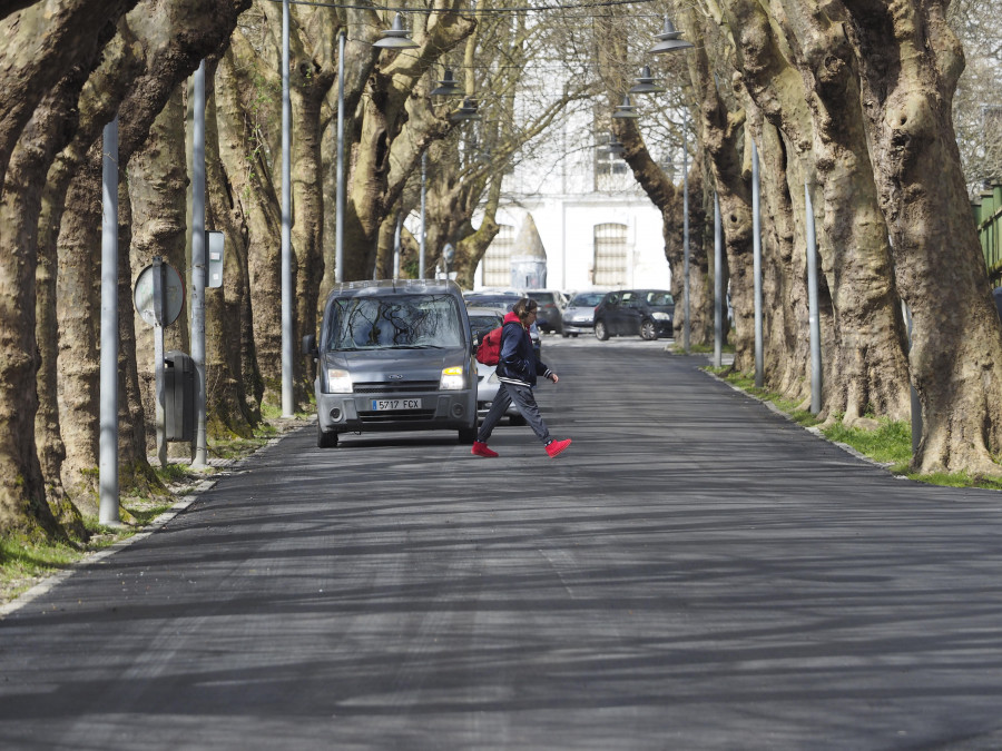 El BNG reclama que se conserven los árboles de  la avenida Compostela