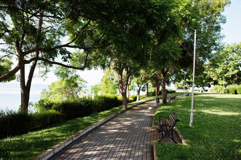 Parque verde bancos ciudad nesebar 627829 7551