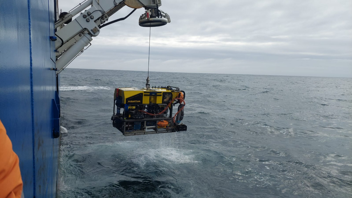 Proyecto Ocean Census Antartida (5)