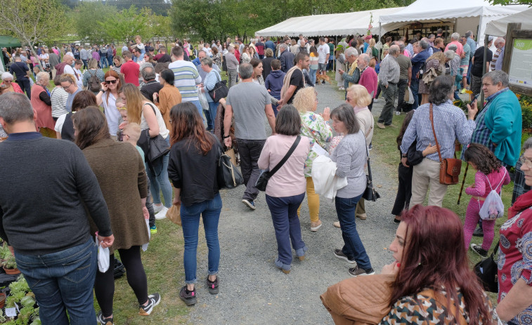 La Feira da Plantación de San Sadurniño batirá marcas con la presencia de 72 puestos