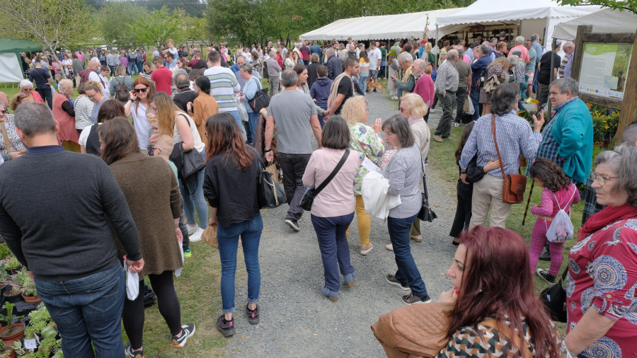 La Feira da Plantación de San Sadurniño batirá marcas con la presencia de 72 puestos