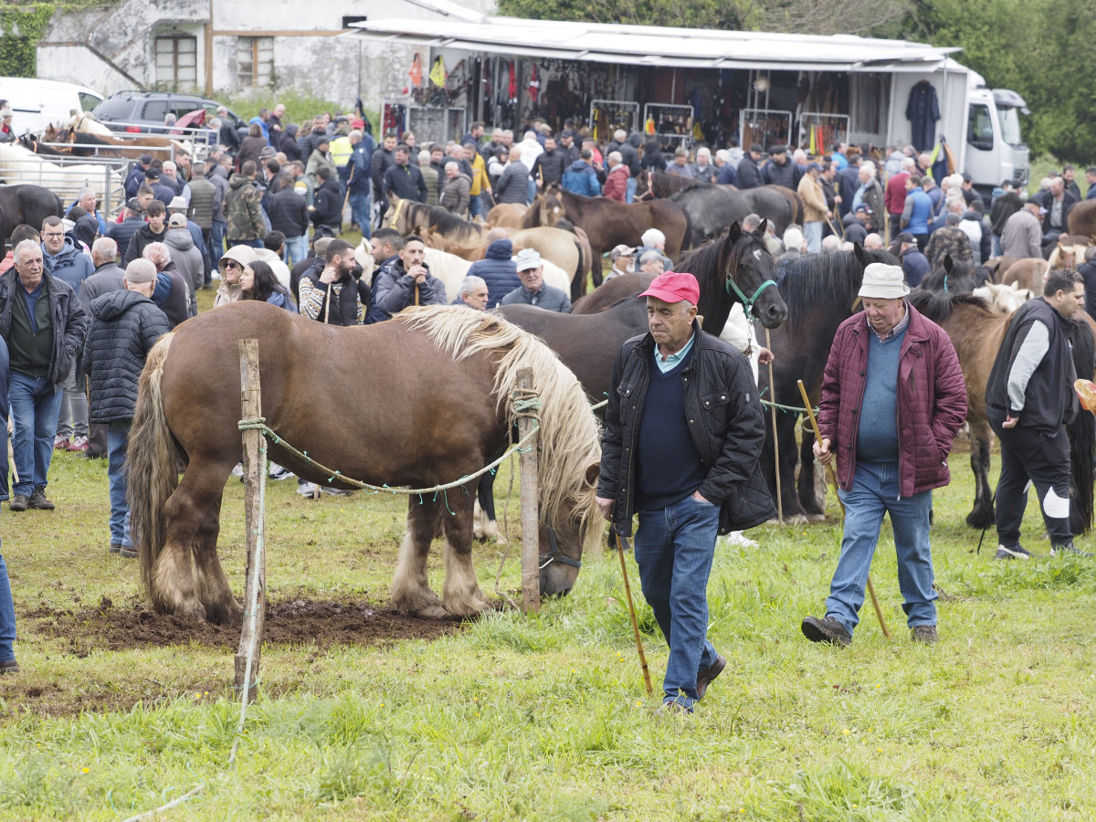 Feira do Cabalo de Moeche (Jorge Meis) (11)