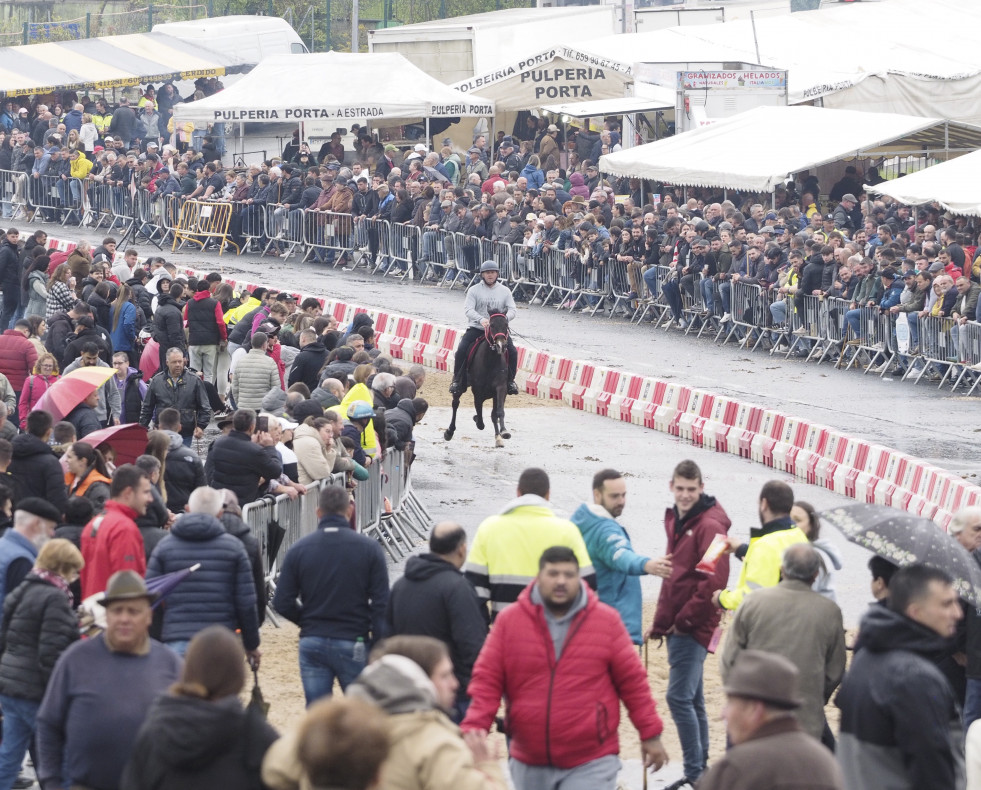 Feira do Cabalo de Moeche (Jorge Meis) (92)