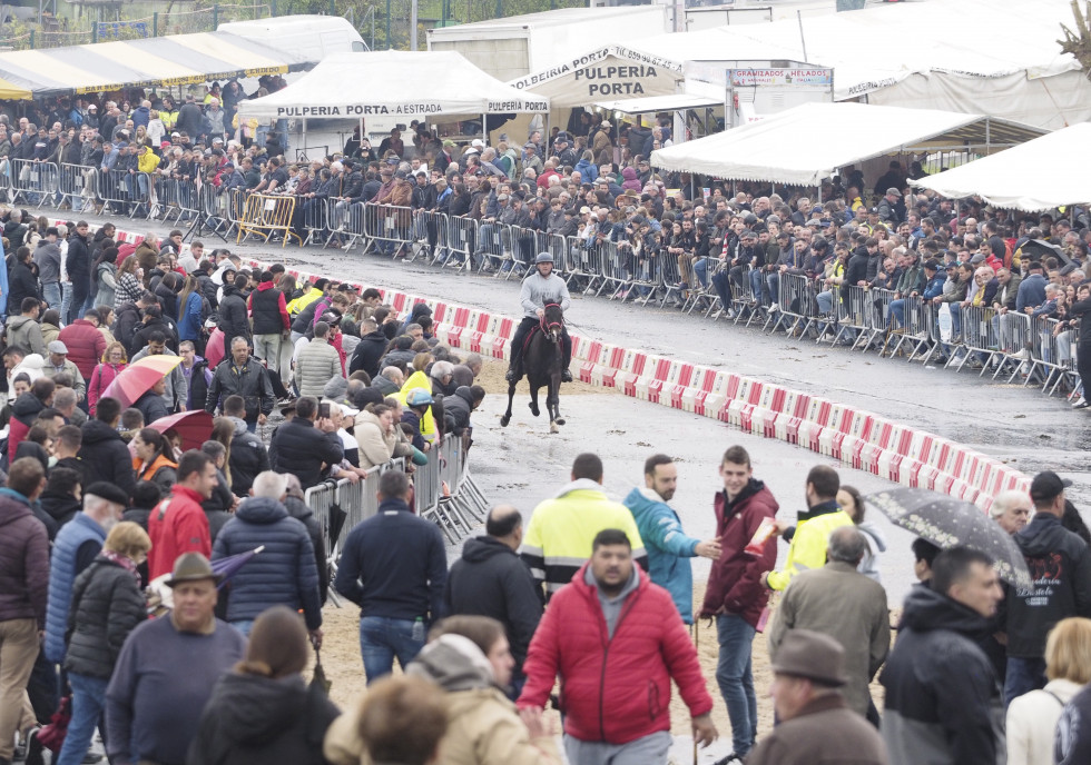 Feira do Cabalo de Moeche (Jorge Meis) (92)