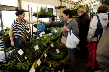 Feira da plantacion