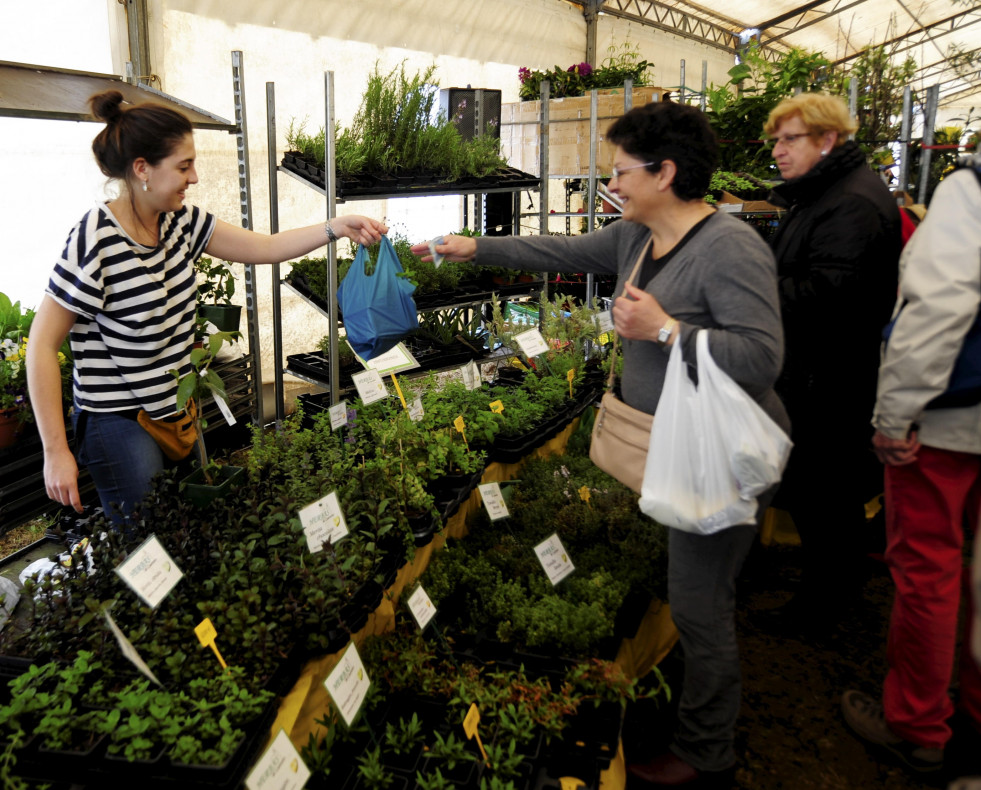 Feira da plantacion
