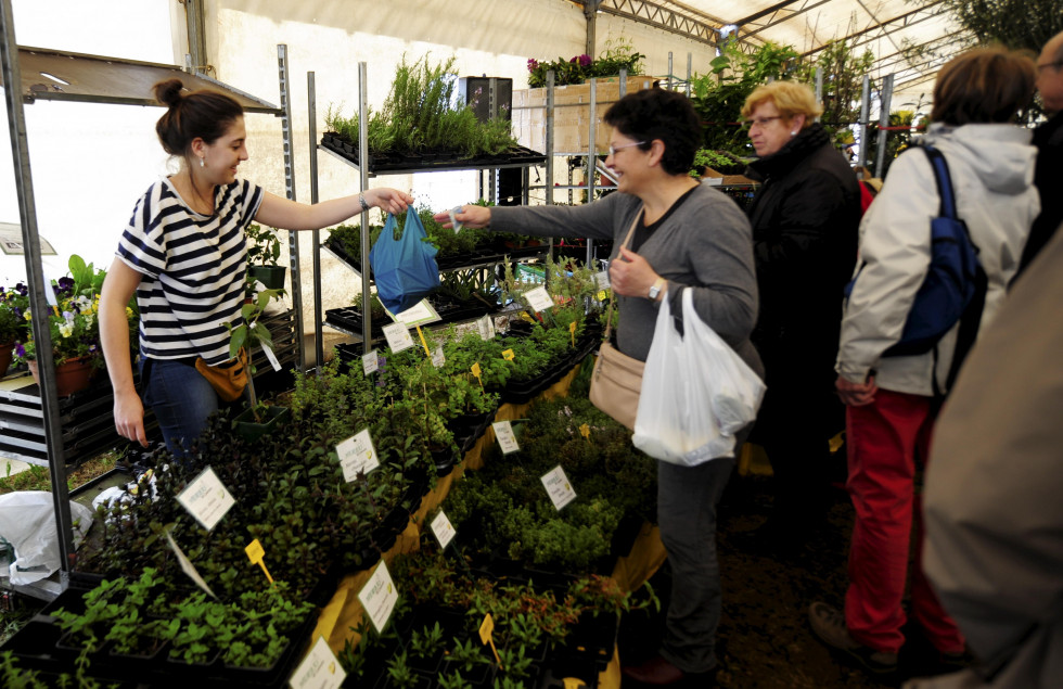 Feira da plantacion