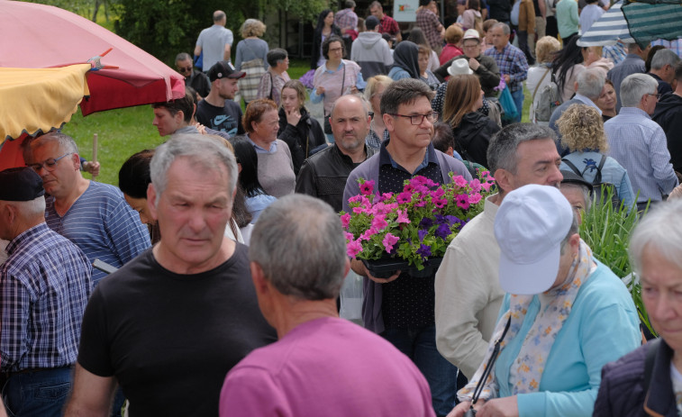 La cita obligada con el mundo de las plantas en San Sadurniño