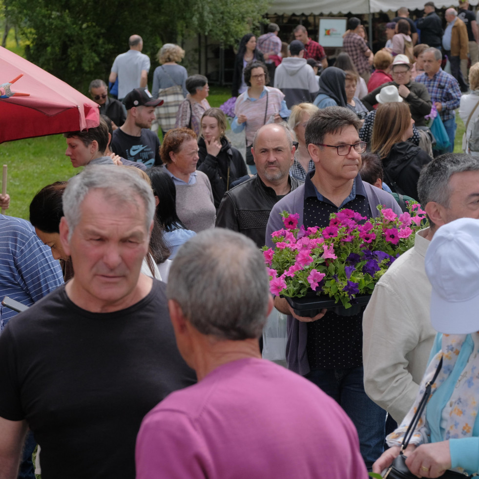 La cita obligada con el mundo de las plantas en San Sadurniño