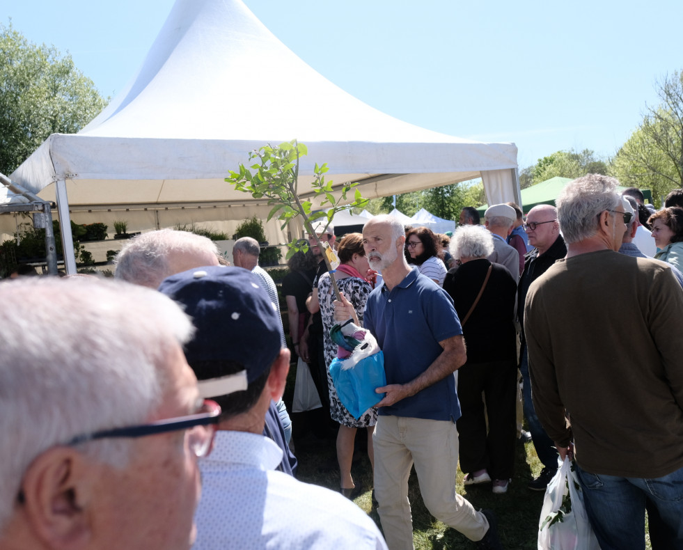 Feira Plantación008