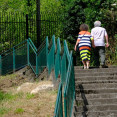 DSCF0533 14023787