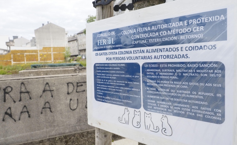 Sesenta voluntarios recibirán sus carnés como cuidadores de las colonias felinas existentes en Ferrol