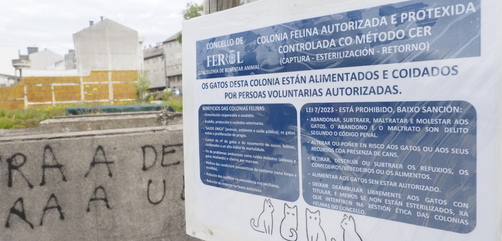 Sesenta voluntarios recibirán sus carnés como cuidadores de las colonias felinas existentes en Ferrol
