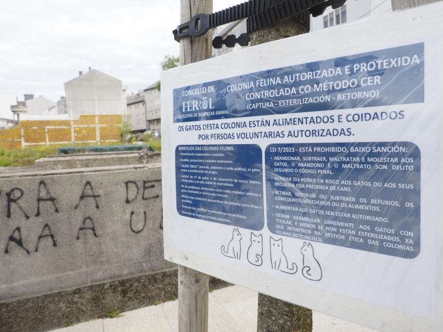 Sesenta voluntarios recibirán sus carnés como cuidadores de las colonias felinas existentes en Ferrol