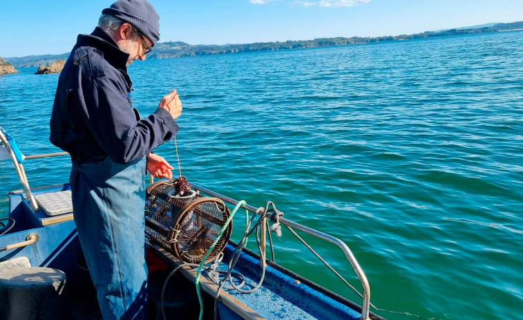 Gardacostas se incauta de 49 nasas de pulpo en la ría de Ares