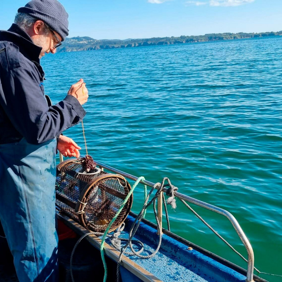 Gardacostas se incauta de 49 nasas de pulpo en la ría de Ares