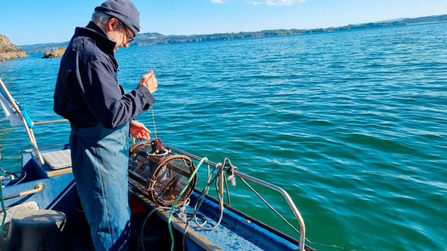 Gardacostas se incauta de 49 nasas de pulpo en la ría de Ares