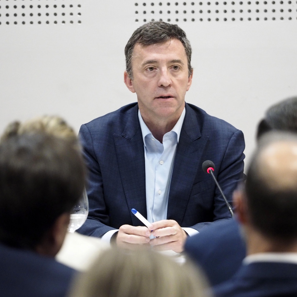 Ricardo Domínguez, presidente de Navantia: 