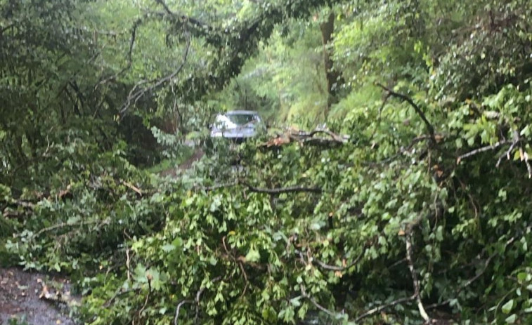 Inundaciones y un árbol caído que cortó el acceso a las Fragas tras las fuertes lluvias y viento de esta madrugada en Ferrolterra