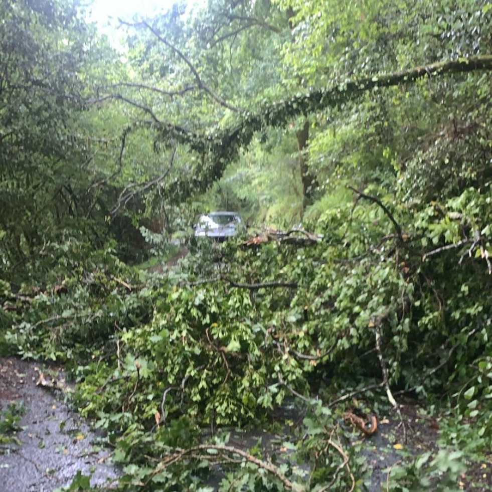 Inundaciones y un árbol caído que cortó el acceso a las Fragas tras las fuertes lluvias y viento de esta madrugada en Ferrolterra                               a