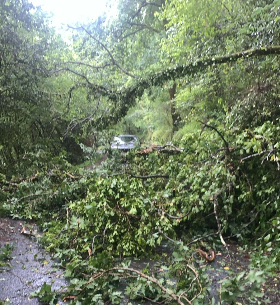 Inundaciones y un árbol caído que cortó el acceso a las Fragas tras las fuertes lluvias y viento de esta madrugada en Ferrolterra
