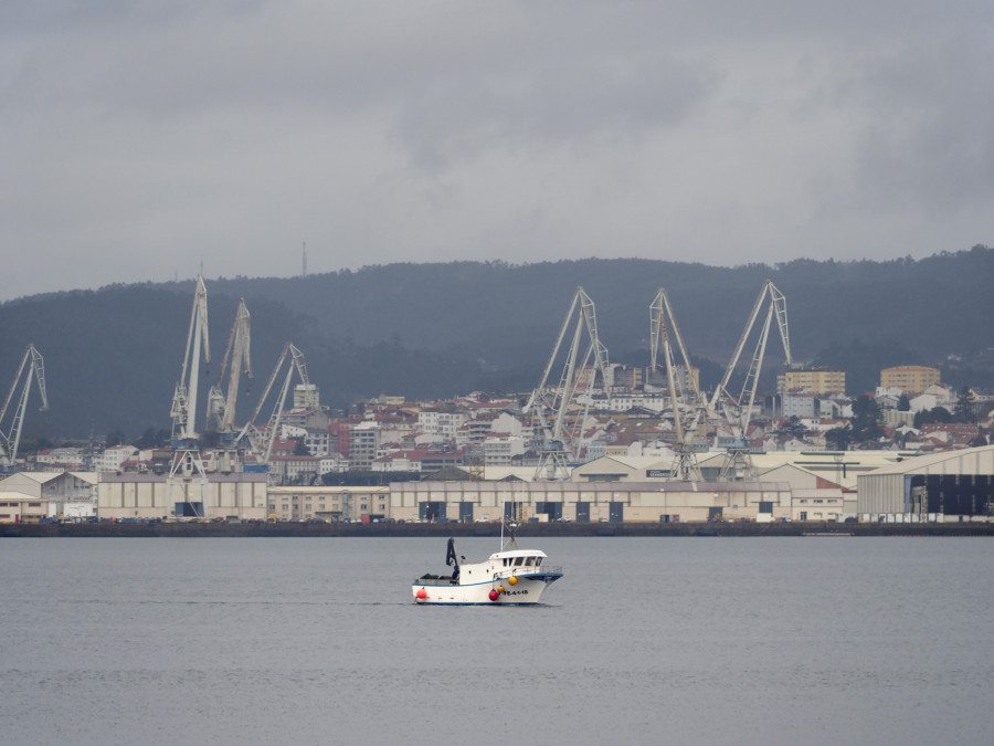 La toxina PSP obliga a aplazar el inicio de la campaña de extracción de zamburiña en Ferrol