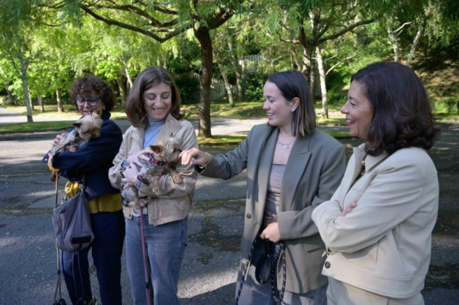 La Xunta entregará hasta 150 euros por adoptar a un animal abandonado