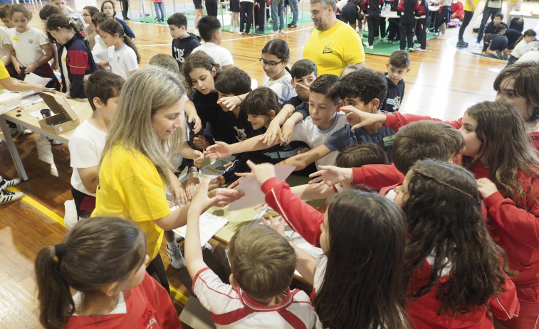 Alumnado de Primaria de Ferrol vólvese gardián do Camiño de Santiago cun reto tecnolóxico