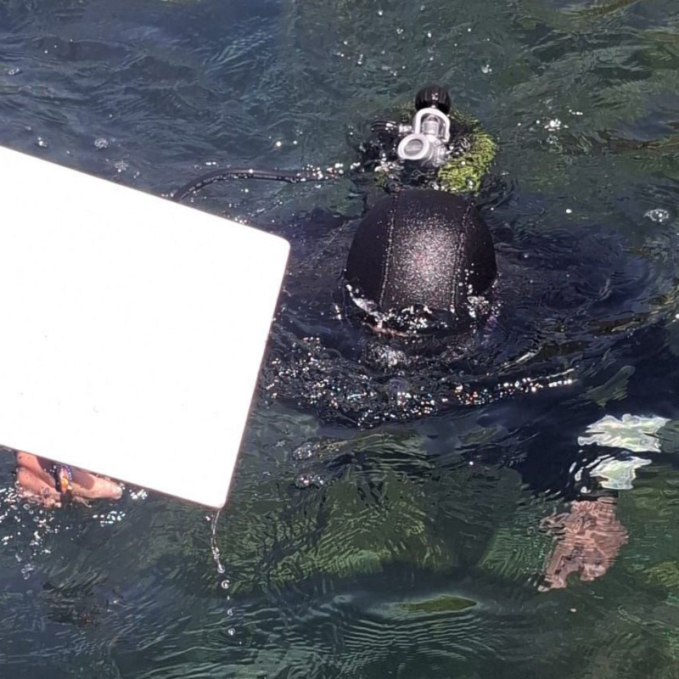 Comienza el proyecto de siembra de erizo de mar en la zona de la cofradía de Ferrol